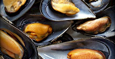 MUSSELS MARINARA