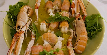 GRILLED LARGE SCAMPI