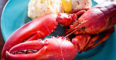 BOILED LOBSTER WITH POTATO SALAD