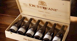 De Stefani Wines Brochure