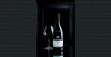 Der Malanotte - der die bekannteste autochthone Weinrebe des Piavegebiets ist