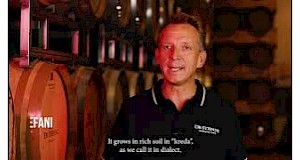 Grand Cru Kreda